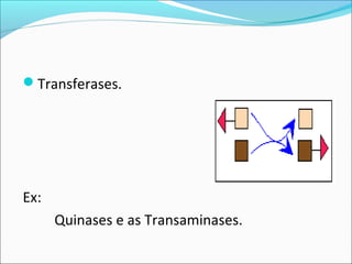 Transferases.




Ex:
      Quinases e as Transaminases.
 
