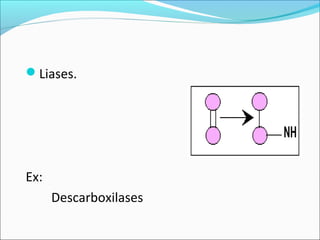 Liases.




Ex:
      Descarboxilases
 