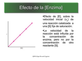 Efecto de la [Enzima] Efecto de [E], sobre la velocidad inicial ( v 0 ) de una reacción catalizada  a una [S] fija de saturación. La velocidad de la reacción está influída por la concentración de enzima, pero no por la concentración de otro reactante [S]. 