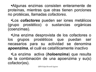 Algunas enzimas consisten enteramente de proteínas, mientras que otras tienen porciones no protéicas, llamadas  cofactores . Los  cofactores  pueden ser iones metálicos (grupo prostético) o sustancias orgánicas (coenzimas). Una enzima desprovista de los cofactores o los grupos prostéticos que puedan ser necasarios para su actividad se denomina  apoenzima , el cuál es catalíticamente inactivo La enzima  activa ( holoenzima ) que resulta de la combinación de una apoenzima y su(s) cofactor(es). 