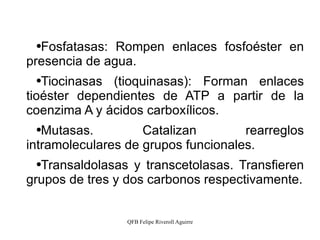 Fosfatasas: Rompen enlaces fosfoéster en presencia de agua. Tiocinasas (tioquinasas): Forman enlaces tioéster dependientes de ATP a partir de la coenzima A y ácidos carboxílicos. Mutasas. Catalizan rearreglos intramoleculares de grupos funcionales. Transaldolasas y transcetolasas. Transfieren grupos de tres y dos carbonos respectivamente. 