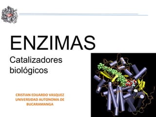 ENZIMAS
Catalizadores
biológicos

 CRISTIAN EDUARDO VASQUEZ
 UNIVERSIDAD AUTONOMA DE
       BUCARAMANGA
 