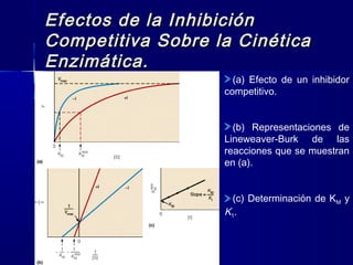 Efectos de la InhibiciónEfectos de la Inhibición
Competitiva Sobre la CinéticaCompetitiva Sobre la Cinética
Enzimática.Enzimática.
(a) Efecto de un inhibidor
competitivo.
(b) Representaciones de
Lineweaver-Burk de las
reacciones que se muestran
en (a).
(c) Determinación de KM y
K1.
 