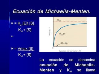 Ecuación de Michaelis-Menten.Ecuación de Michaelis-Menten.
VV == KK22 [E]t [S][E]t [S]
KKMM + [S]+ [S]
≈≈
V =V = Vmax [S]Vmax [S]
KKMM + [S]+ [S]
La ecuación se denominaLa ecuación se denomina
ecuación de Michaelis-ecuación de Michaelis-
Menten yMenten y KKMM se llamase llama
 