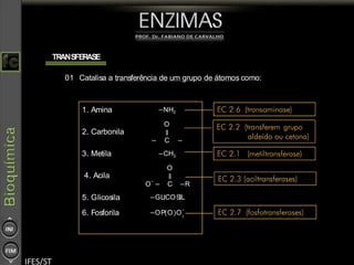 TRANSFERASE
01 Catalisa a transferência de um grupo de átomos como:
1. Amina −NH2
2. Carbonila
O
∥
− C −
3. Metila −CH3
4. Acila
O
∥
O
-
− C −R
5. Glicosila −GLICOSIL
6. Fosforila −OP(O)O2
-
 