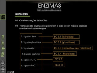 HIDROLASES
01 Catalisam reações de hidrólise
02 Hidrolases são enzimas que promovem a cisão de um material orgânico
através da utilização de água.
 