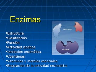 Enzimas
Estructura
Clasificación
Función
Actividad cinética
Inhibición enzimática
Coenzimas
Vitaminas y metales esenciales
Regulación de la actividad enzimática


 