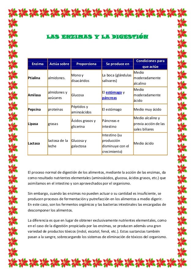 Enzimas Enzimas