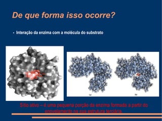 De que forma isso ocorre?
- Interação da enzima com a molécula do substrato
Sítio ativo – é uma pequena porção da enzima formada a partir do
enovelamento na sua estrutura terciária.
 