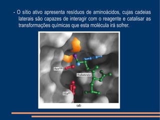 - O sítio ativo apresenta resíduos de aminoácidos, cujas cadeias
laterais são capazes de interagir com o reagente e catalisar as
transformações químicas que esta molécula irá sofrer.
 