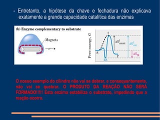 - Entretanto, a hipótese da chave e fechadura não explicava
exatamente a grande capacidade catalítica das enzimas
O nosso exemplo do cilindro não vai se dobrar, e consequentemente,
não vai se quebrar. O PRODUTO DA REAÇÂO NÂO SERÀ
FORMADO!!!!! Esta enzima estabiliza o substrato, impedindo que a
reação ocorra.
 