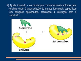 2) Ajuste induzido – As mudanças conformacionais sofridas pela
enzima levam à acomodação de grupos funcionais específicos
em posições apropriadas, facilitando a interação com o
substrato
 
