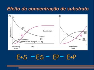 Efeito da concentração de substrato
E+S ES EP E+P
 