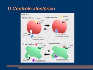 1) Controle alostérico
 