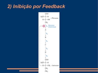 2) Inibição por Feedback
 