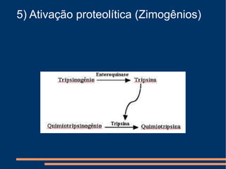 5) Ativação proteolítica (Zimogênios)
 