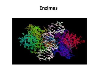 Enzimas 
 