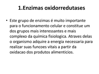 1.Enzimas oxidorredutases 
• Este grupo de enzimas é muito importante 
para o funcionamento celular e constitue um 
dos grupos mais interessantes e mais 
complexo da química fisiologica. Atraves delas 
o organismo adquire a energia necessaria para 
realizar suas funcoes vitais a partir da 
oxidacao dos produtos alimenticios. 
 