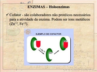  Cofator - são colaboradores não protéicos necessários
para a atividade da enzima. Podem ser íons metálicos
(Zn+2, Fe+2).
ENZIMAS – Holoenzimas
 