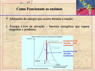 Como Funcionam as enzimas
 Alterações de energia que ocorre durante a reação:
1. Energia Livre de ativação – barreira energética que separa
reagentes e produtos;
Energia livre de
ativação
(catalizada)
Energia livre de
ativação (não-
catalizada)
 