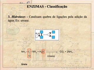 ENZIMAS - Classificação 
3. Hidrolases - Catalisam quebra de ligações pela adição da 
água. Ex: urease. 
NH2 – C – NH2 + H2O 
O 
Ureia 
CO2 + 2NH3 
Urease 
 