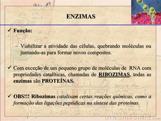  Função: 
ENZIMAS 
– Viabilizar a atividade das células, quebrando moléculas ou 
juntando-as para formar novos compostos. 
 Com exceção de um pequeno grupo de moléculas de RNA com 
propriedades catalíticas, chamadas de RIBOZIMAS, todas as 
enzimas são PROTEÍNAS. 
 OBS!!! Ribozimas catalisam certas reações químicas, como a 
formação das ligações peptídicas na síntese das proteínas. 
 