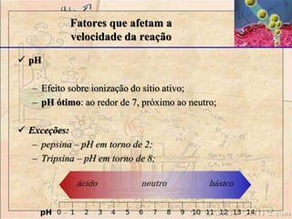  pH 
Fatores que afetam a 
velocidade da reação 
– Efeito sobre ionização do sítio ativo; 
– pH ótimo: ao redor de 7, próximo ao neutro; 
 Exceções: 
– pepsina – pH em torno de 2; 
– Tripsina – pH em torno de 8; 
 