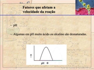 – pH 
Fatores que afetam a 
velocidade da reação 
– Algumas em pH muito ácido ou alcalino são desnaturadas. 
 