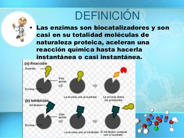 Enzimas