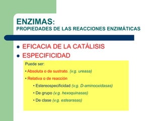 ENZIMAS:
PROPIEDADES DE LAS REACCIONES ENZIMÁTICAS
 EFICACIA DE LA CATÁLISIS
 ESPECIFICIDAD
Puede ser:
• Absoluta o de sustrato. (v.g. ureasa)
• Relativa o de reacción
• Estereospecificidad (v.g. D-aminooxidasas)
• De grupo (v.g. hexoquinasas)
• De clase (v.g. estearasas)
 