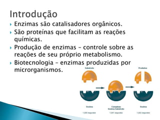  Enzimas são catalisadores orgânicos.
 São proteínas que facilitam as reações
químicas.
 Produção de enzimas – controle sobre as
reações de seu próprio metabolismo.
 Biotecnologia – enzimas produzidas por
microrganismos.
 