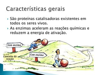 São proteínas catalisadoras existentes em
todos os seres vivos.
 As enzimas aceleram as reações químicas e
reduzem a energia de ativação.
 
