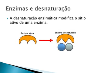  A desnaturação enzimática modifica o sítio
ativo de uma enzima.
 
