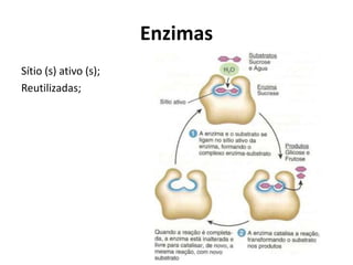 Sítio (s) ativo (s);
Reutilizadas;
Enzimas
 