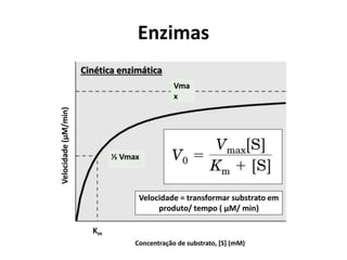Enzimas
 