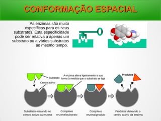 CONFORMAÇÃO ESPACIALCONFORMAÇÃO ESPACIAL
As enzimas são muito
específicas para os seus
substratos. Esta especificidade
pode ser relativa a apenas um
substrato ou a vários substratos
ao mesmo tempo.
 