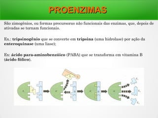 PROENZIMASPROENZIMAS
São zimogênios, ou formas precursoras não funcionais das enzimas, que, depois de
ativadas se tornam funcionais.
Ex.: tripsinogênio que se converte em tripsina (uma hidrolase) por ação da
enteroquinase (uma liase);
Ex: ácido para-aminobenzóico (PABA) que se transforma em vitamina B
(ácido fólico).
 