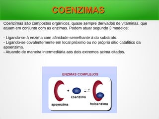 COENZIMASCOENZIMAS
Coenzimas são compostos orgânicos, quase sempre derivados de vitaminas, que
atuam em conjunto com as enzimas. Podem atuar segundo 3 modelos:
- Ligando-se à enzima com afinidade semelhante à do substrato.
- Ligando-se covalentemente em local próximo ou no próprio sítio catalítico da
apoenzima.
- Atuando de maneira intermediária aos dois extremos acima citados.
 