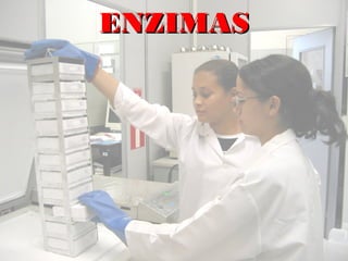 ENZIMASENZIMAS
 