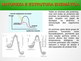 NATUREZA E ESTRUTURA ENZIMÁTICANATUREZA E ESTRUTURA ENZIMÁTICA
Todas as enzimas são proteínas,
mas nem todas as proteínas são
enzimas. As proteínas, como um
todo, ocupam um papel de
destaque na dinâmica e
estruturação dos organismos
vivos.
As enzimas, parte deste grupo de
proteínas, funcionam como
biocatalisadores, permitindo que
uma reação química venha a
ocorrer dentro dos limites das
temperaturas biológicas. As
enzimas participam das reações,
reduzem o tempo de destas e
são separadas do produto final.
 