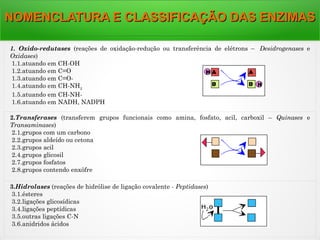 1. Oxido-redutases (reações de oxidação-redução ou transferência de elétrons –  Desidrogenases e
Oxidases)
1.1.atuando em CH-OH
1.2.atuando em C=O
1.3.atuando em C=O-
 1.4.atuando em CH-NH2
 1.5.atuando em CH-NH-
 1.6.atuando em NADH, NADPH
2.Transferases (transferem grupos funcionais como amina, fosfato, acil, carboxil – Quinases e
Transaminases)
 2.1.grupos com um carbono
 2.2.grupos aldeído ou cetona
 2.3.grupos acil
 2.4.grupos glicosil
 2.7.grupos fosfatos
 2.8.grupos contendo enxôfre
3.Hidrolases (reações de hidrólise de ligação covalente - Peptidases)
 3.1.ésteres
 3.2.ligações glicosídicas
 3.4.ligações peptídicas
 3.5.outras ligações C-N
 3.6.anidridos ácidos
NOMENCLATURA E CLASSIFICAÇÃO DAS ENZIMASNOMENCLATURA E CLASSIFICAÇÃO DAS ENZIMAS
 