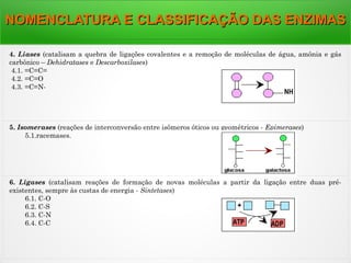 4. Liases (catalisam a quebra de ligações covalentes e a remoção de moléculas de água, amônia e gás
carbônico – Dehidratases e Descarboxilases)
 4.1. =C=C=
 4.2. =C=O
 4.3. =C=N-
5. Isomerases (reações de interconversão entre isômeros óticos ou geométricos - Epimerases)
 5.1.racemases.
6. Ligases (catalisam reações de formação de novas moléculas a partir da ligação entre duas pré-
existentes, sempre às custas de energia - Sintetases)
 6.1. C-O
 6.2. C-S
 6.3. C-N
 6.4. C-C
NOMENCLATURA E CLASSIFICAÇÃO DAS ENZIMASNOMENCLATURA E CLASSIFICAÇÃO DAS ENZIMAS
 