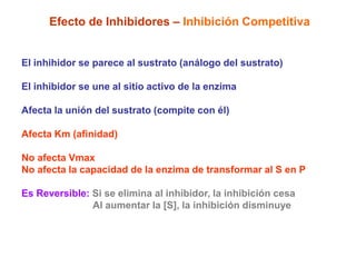 Efecto de Inhibidores – Inhibición Competitiva


El inhihidor se parece al sustrato (análogo del sustrato)

El inhibidor se une al sitio activo de la enzima

Afecta la unión del sustrato (compite con él)

Afecta Km (afinidad)

No afecta Vmax
No afecta la capacidad de la enzima de transformar al S en P

Es Reversible: Si se elimina al inhibidor, la inhibición cesa
               Al aumentar la [S], la inhibición disminuye
 