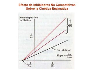 Efecto de Inhibidores No Competitivos
     Sobre la Cinética Enzimática
 