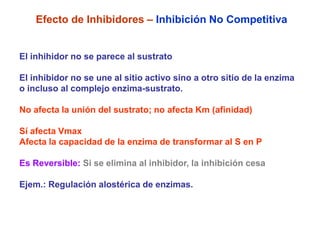 Efecto de Inhibidores – Inhibición No Competitiva


El inhihidor no se parece al sustrato

El inhibidor no se une al sitio activo sino a otro sitio de la enzima
o incluso al complejo enzima-sustrato.

No afecta la unión del sustrato; no afecta Km (afinidad)

Sí afecta Vmax
Afecta la capacidad de la enzima de transformar al S en P

Es Reversible: Si se elimina al inhibidor, la inhibición cesa

Ejem.: Regulación alostérica de enzimas.
 