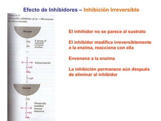 Efecto de Inhibidores – Inhibición Irreversible


                  El inhihidor no se parece al sustrato

                  El inhibidor modifica irreversiblemente
                  a la enzima, reacciona con ella

                  Envenena a la enzima

                  La inhibición permanece aún después
                  de eliminar al inhibidor
 