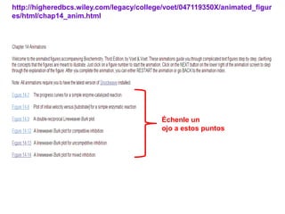 http://higheredbcs.wiley.com/legacy/college/voet/047119350X/animated_figur
es/html/chap14_anim.html




                                          Échenle un
                                          ojo a estos puntos
 