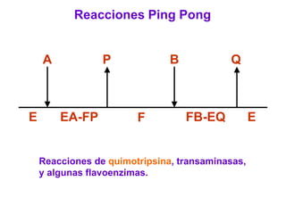 Reacciones Ping Pong


    A            P             B           Q



E       EA-FP           F          FB-EQ          E


    Reacciones de quimotripsina, transaminasas,
    y algunas flavoenzimas.
 