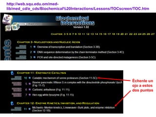 http://web.squ.edu.om/med-
lib/med_cd/e_cds/Biochemical%20Interactions/Lessons/TOCscreen/TOC.htm




                                                            Échenle un
                                                            ojo a estos
                                                            dos puntos
 