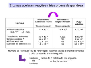 Enzima
Velocidade na
ausência de enzima
“Reações/segundo”
Velocidade da
reação catalisada
“Reações/segundo”
Poder
catalítico
Anidrase carbônica
H2O2 H2O + ½ O2
Triosefosfato isomerase
Carboxipeptidase A
AMP nucleosidase
Nuclease de estafilococos
1.3 X 10 –1
4.3 X 10 –6
3.0 X 10 –9
1.0 X 10 –11
1.7 X 10 -13
1.0 X 106
4.300
578
60
95
7.7 X 106
1.0 X 109
1.9X 1011
6.0 X 1012
5.6 X 1014
Número de “turnover” ou de renovação: quantas vezes a enzima completa
o ciclo da reação em um segundo
Enzimas acelaram reações várias ordens de grandeza
moles de S catalisado por segundo
moles de enzima
Número
de
turnover
=
 